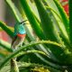 Green and Gray Bird Perching on Aloe Vera Plant