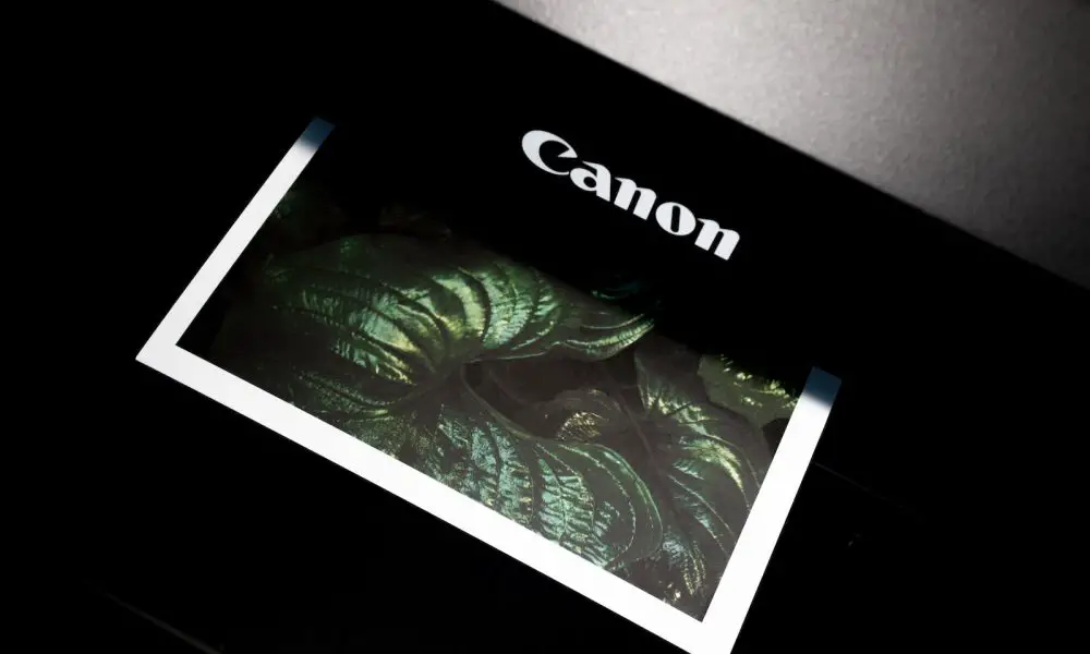 black Canon photo printer