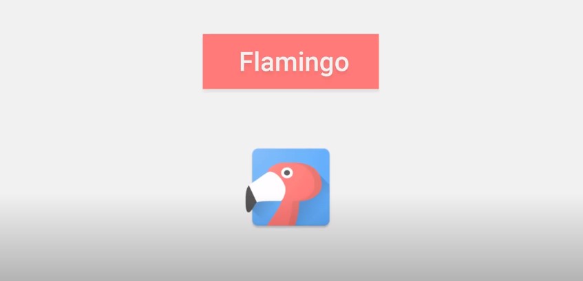 Flamingo app