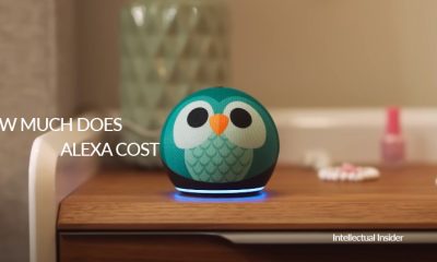 Alexa cost