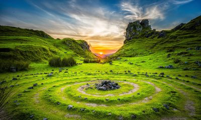 green grass field during sunset