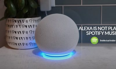 Alexa is not playing Spotify music