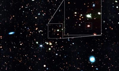 Giant quasar and little red dots c NASA ESA CSA J. Matthee ISTA etc. V1