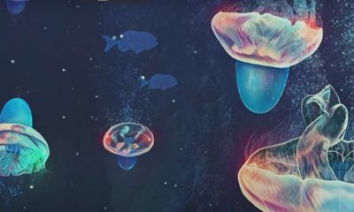 cyborg jellyfish screengrab