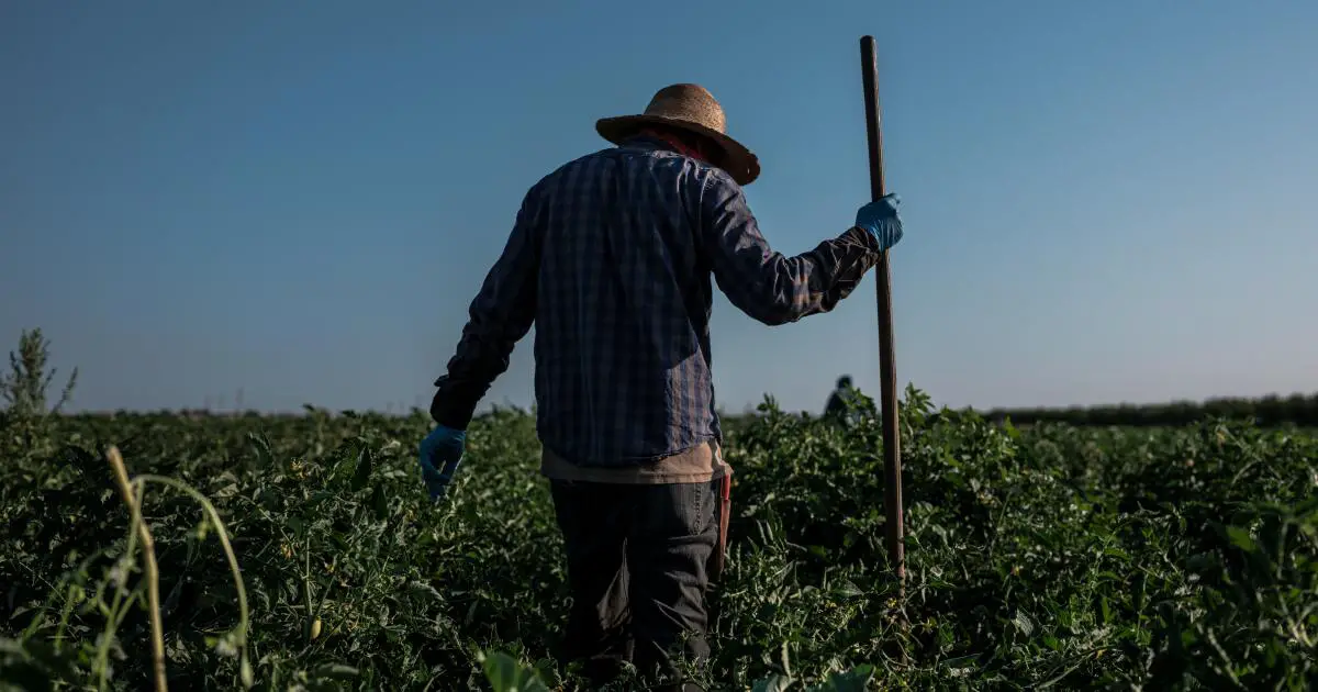 urlhttps3A2F2Fcalifornia times brightspot.s3.amazonaws.com2F9c2Fab2F7d9e02d6432bb14028e6ab0fbf892F578890.la .farm .workers.coronavirus41