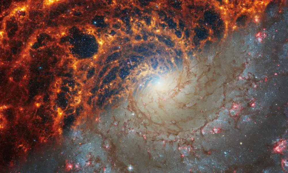 2048px Webb and Hubbles Views of Spiral Galaxy NGC 628 SVS31290 STScI both