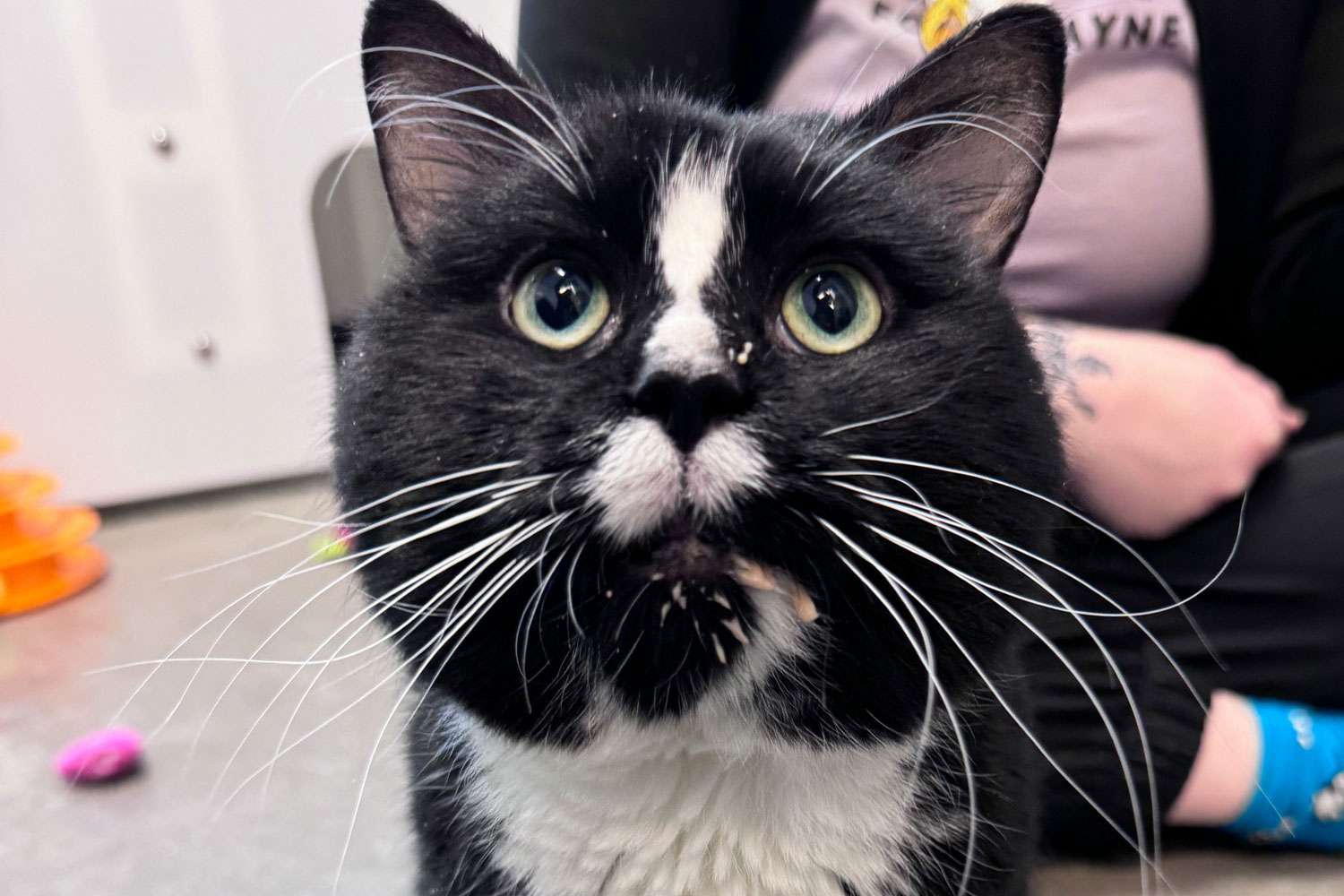 Humane Fort Wayne 012425 2 c1f5293454a546348bec6888b5652f00