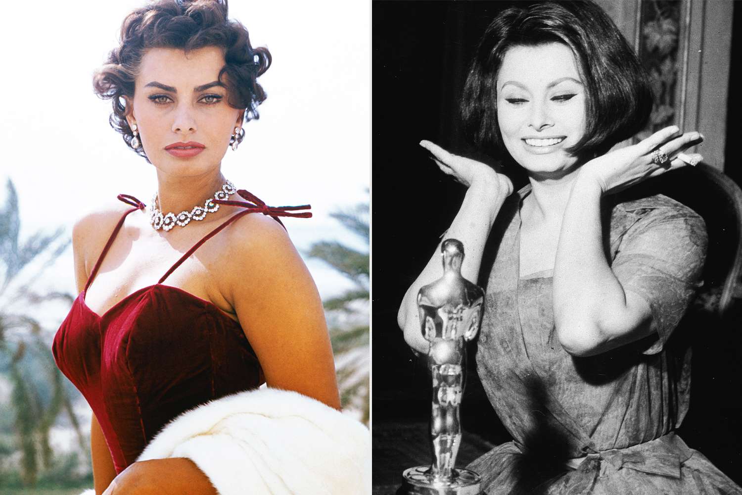 sofia loren oscar win 011525 f6e02e8a4fd445fab16b5c10e6e59a09