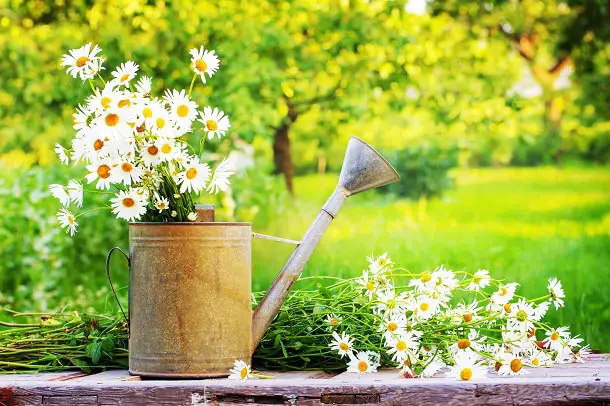 inspirational june quotes