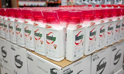 Roundup weedkiller AdobeStock scaled