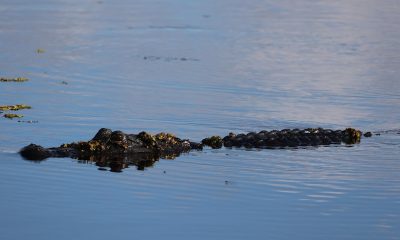 gettyimages 1450661275