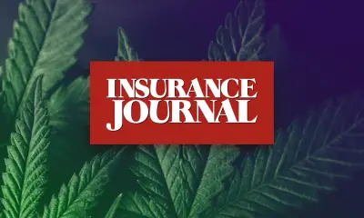 ij social cannabis 1200x630