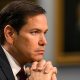 rubio2