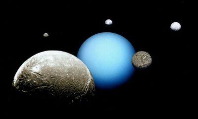 750px Uranus Montage 20250626 233553