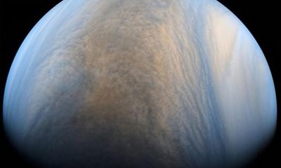 image 8904 venus akatsuki composite