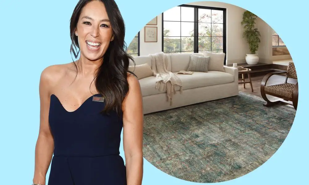 peo joanna gaines rug is ideal for accident prone pets tout 6743ddfc91204a41beb396ca6a1298c4