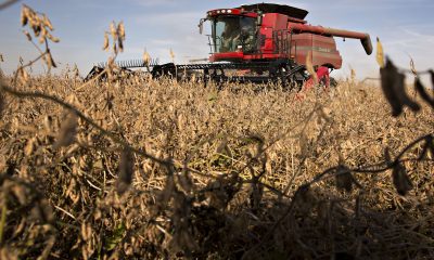Crop Herbicide Bloomberg photo