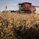 Crop Herbicide Bloomberg photo