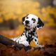 GettyImages 1357481031