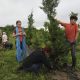 Texas Livestock Losses Flood scaled