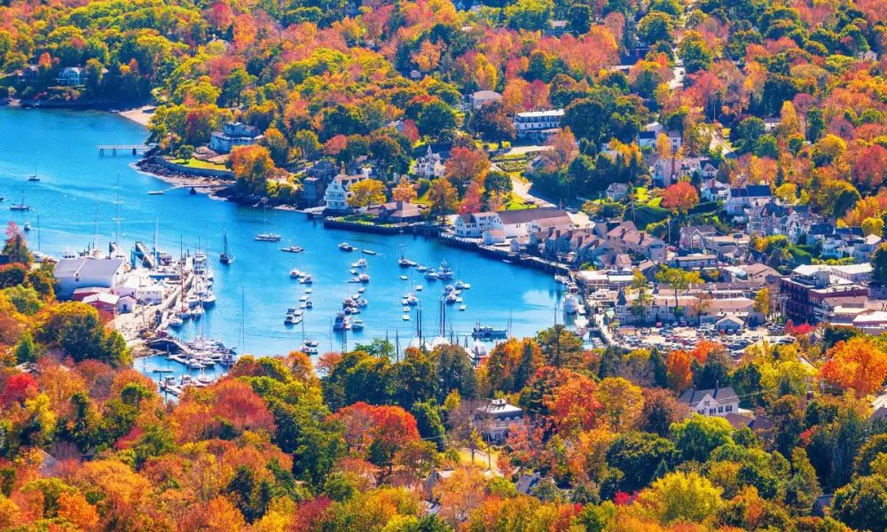 Untitled design 2025 07 02T151514.260