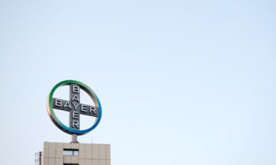 bayer logo germany 580x435