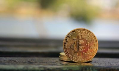 bitcoin etfs hit 8 day streak with 297 million inflow as ether etfs extend winning run