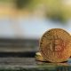bitcoin etfs hit 8 day streak with 297 million inflow as ether etfs extend winning run