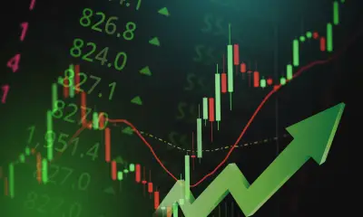 bitwise 4 year cycle dead sustained boom
