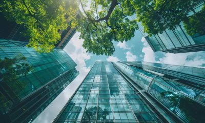 corporate sustainability 805695893 AdobeStock scaled