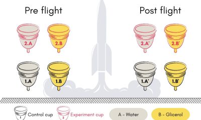 cups 20250627 152739