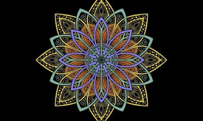 dialysis sun