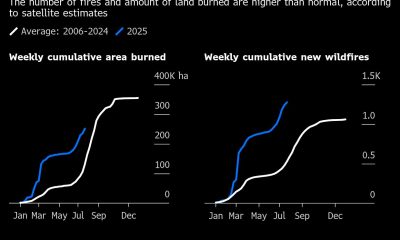 europe wildfires climb as summer heat intensifies bloomberg