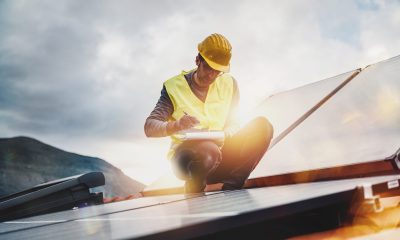 new york seeks program manager scaled