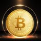 peter schiff bitcoin treasury time bomb