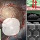 Lightsail Material 20250813 141732