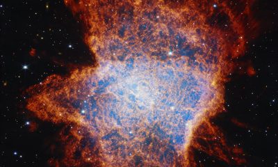 STScI 01K0W6ACCN3VRNKZPRHNSRD0VS 20250805 223825