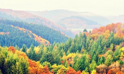 inspirational fall quotes