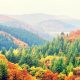 inspirational fall quotes