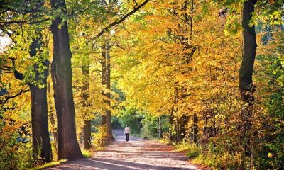 inspirational september quotes