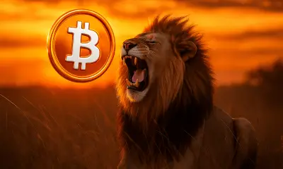 lionorange