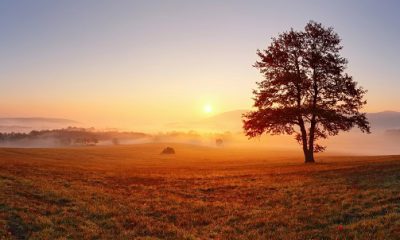 positive good morning quotes