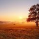 positive good morning quotes