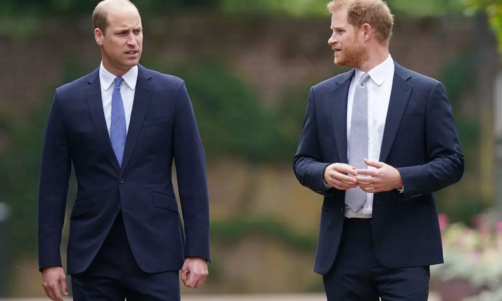 prince william prince harry 050924 2 ea79b2ad0ae0410eae22092716af8ce1