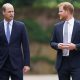 prince william prince harry 050924 2 ea79b2ad0ae0410eae22092716af8ce1