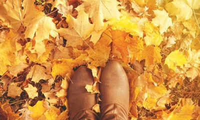 short fall quotes