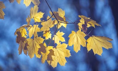 short september quotes