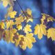 short september quotes