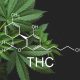 thc scaled