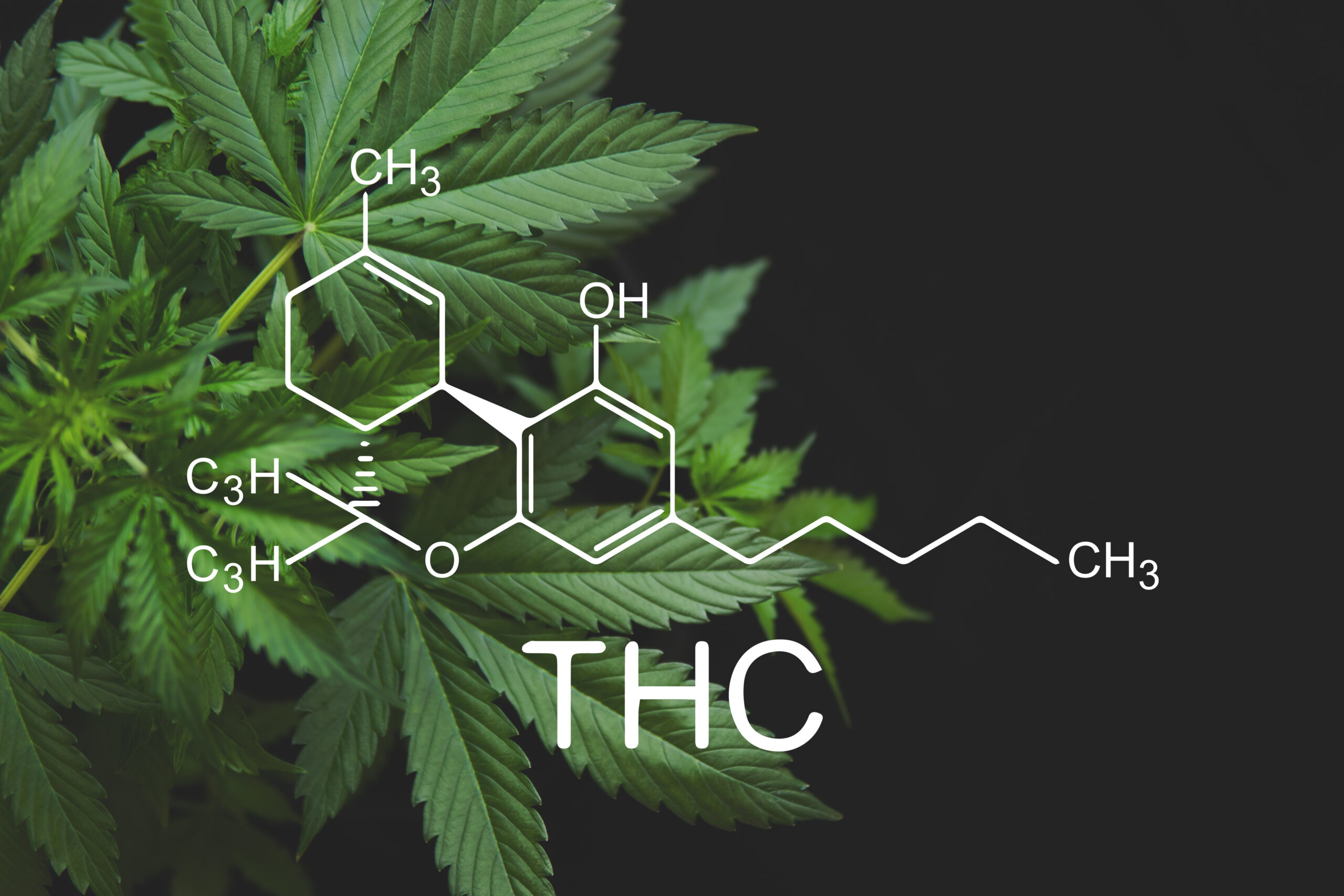thc scaled